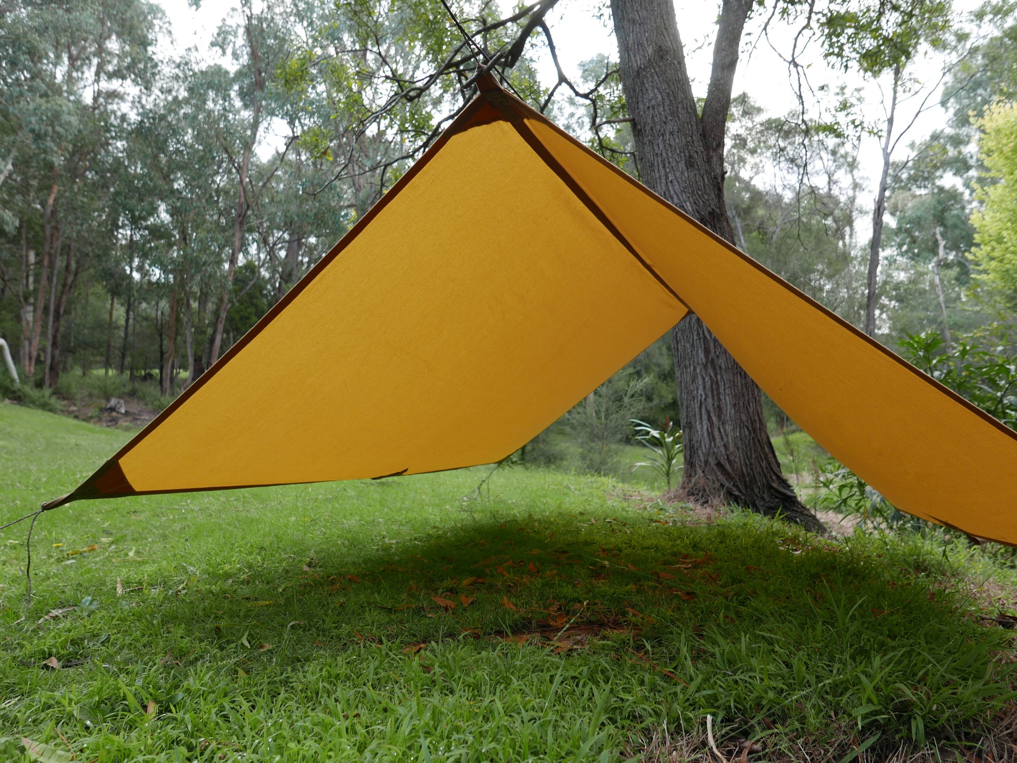 Oilskin Tarp